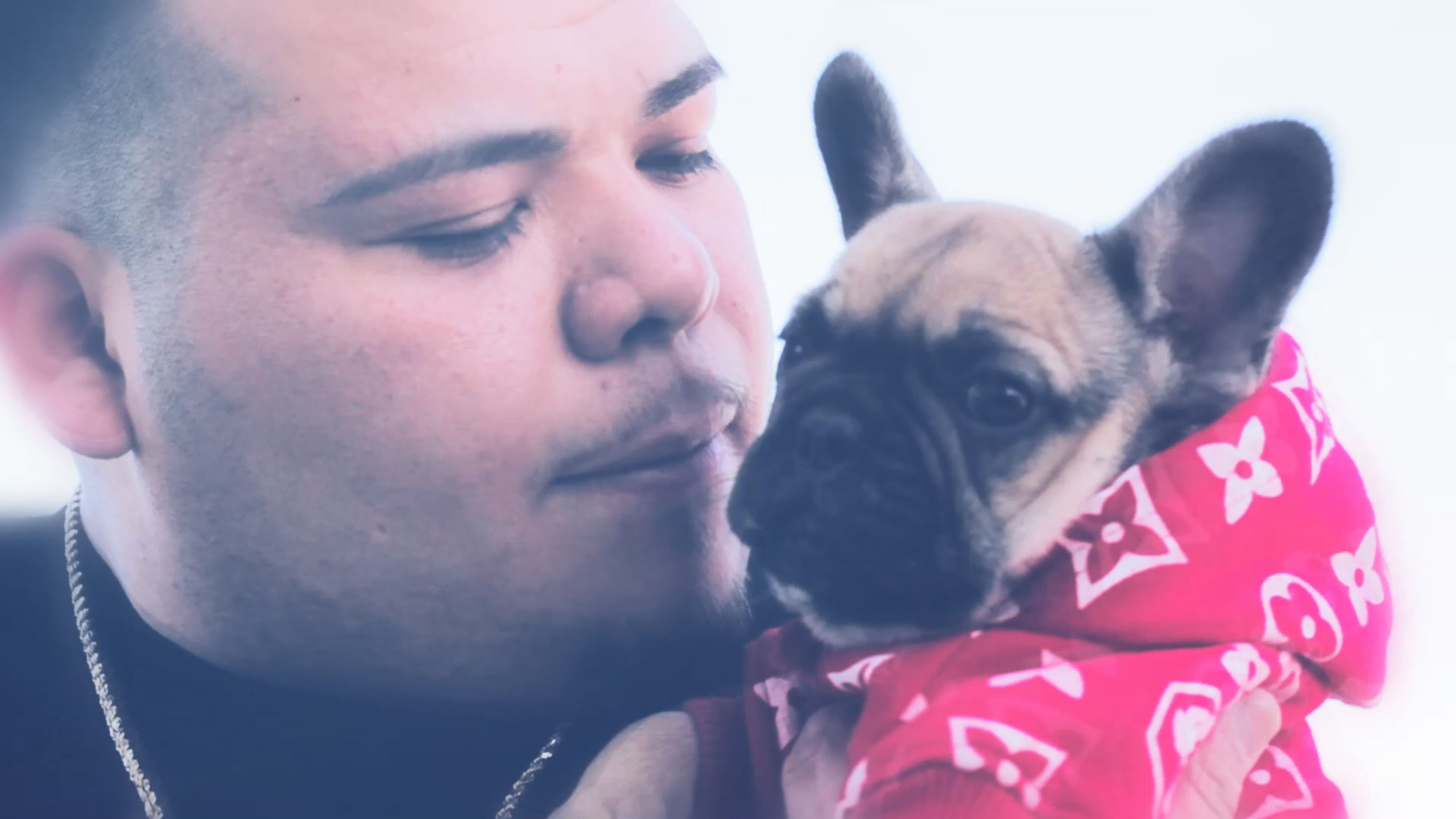 Pets and Co Family